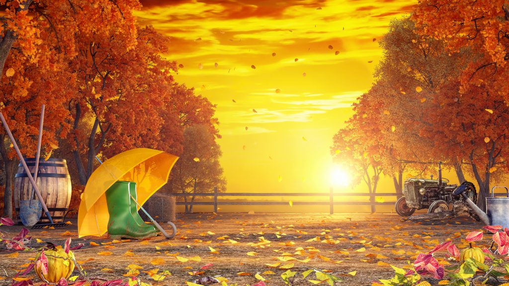 Herbstzauber – Bereiten Sie Ihren Garten vor für die kommende Zeit